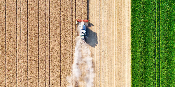 Whitepaper: The need for an integrated ERP/CTRM solution for commodity trading